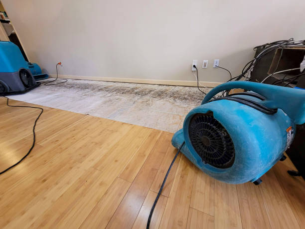 Professional Sewage Cleanup technician working in Williamsport, IN